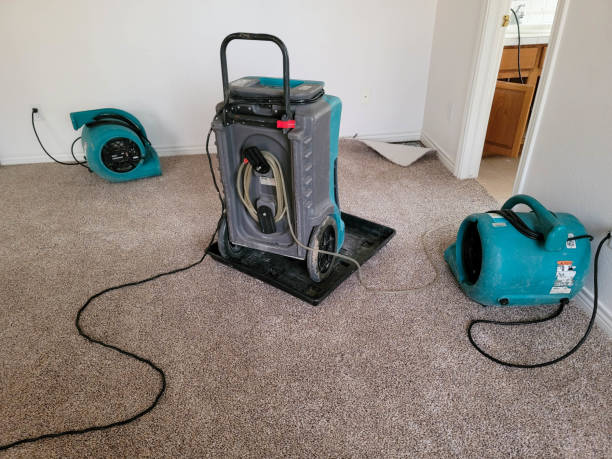 Best Water damage contractors near me  in Ivins, UT