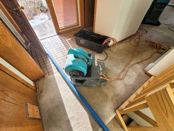 Ivins, UT Water damage restoration Company