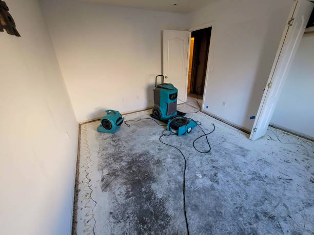 Professional Water damage restoration in Ivins, UT