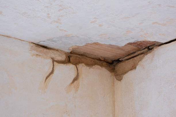 Best Professional water damage repair  in Ivins, UT