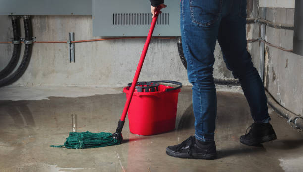 Best Water damage restoration mold remediation  in Ivins, UT