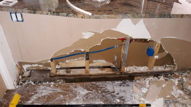 Best Water damage contractors near me  in Ivins, UT