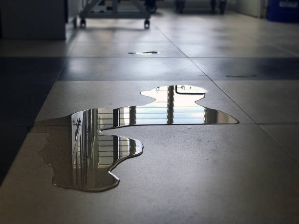 Best Water damage restoration near me  in Ivins, UT