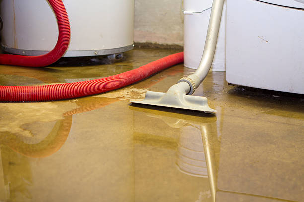 Best Water damage contractors near me  in Ivins, UT