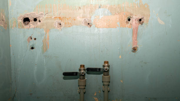 Best Fire Damage Restoration  in Ivins, UT