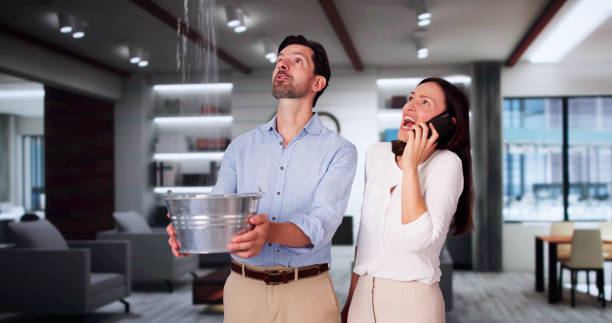 Best Ceiling water damage repair  in Ivins, UT