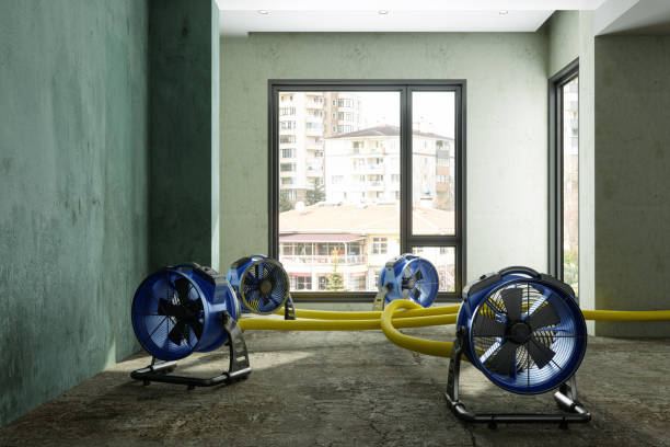 Best Fire Damage Restoration  in Ivins, UT