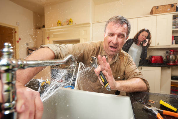 Best Flood damage cleanup  in Ivins, UT